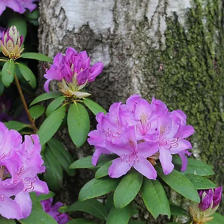 بيت للعطل Torsholt فسترشتيده