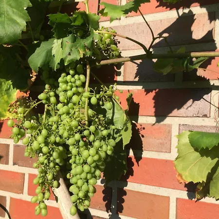 بيت للعطل Torsholt فسترشتيده