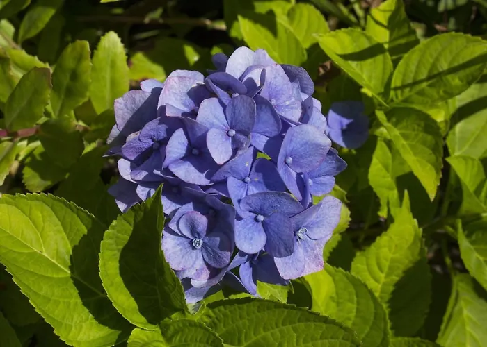 Сasa de vacaciones Torsholt