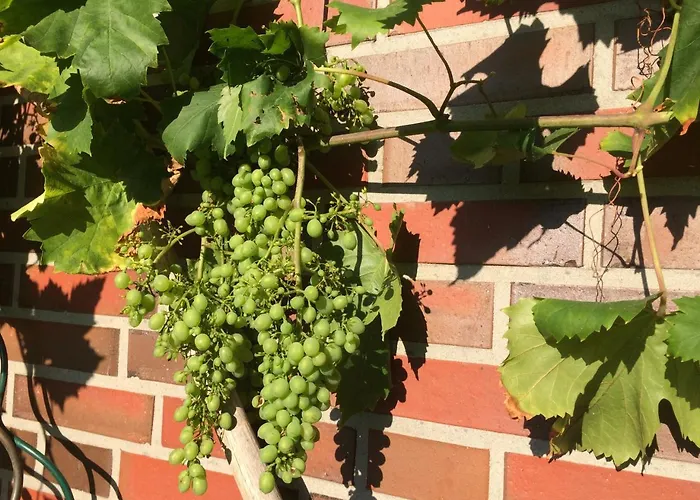 Сasa de vacaciones Torsholt Westerstede